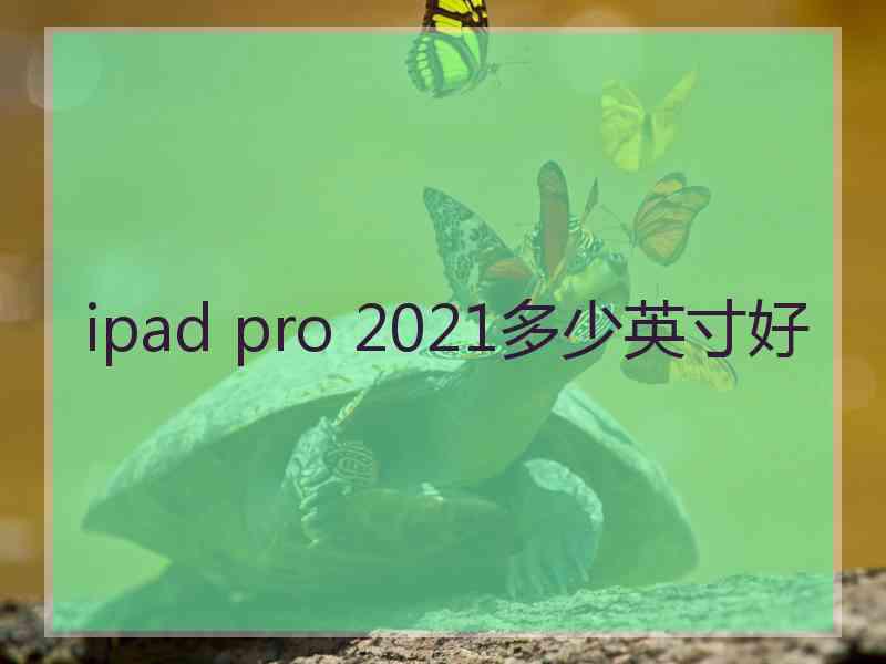 ipad pro 2021多少英寸好