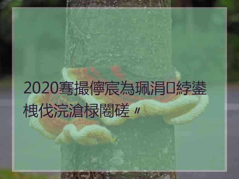 2020骞撮儜宸為珮涓綍鍙栧伐浣滄椂闂磋〃