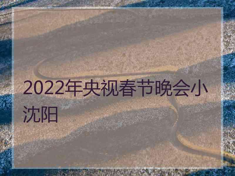 2022年央视春节晚会小沈阳