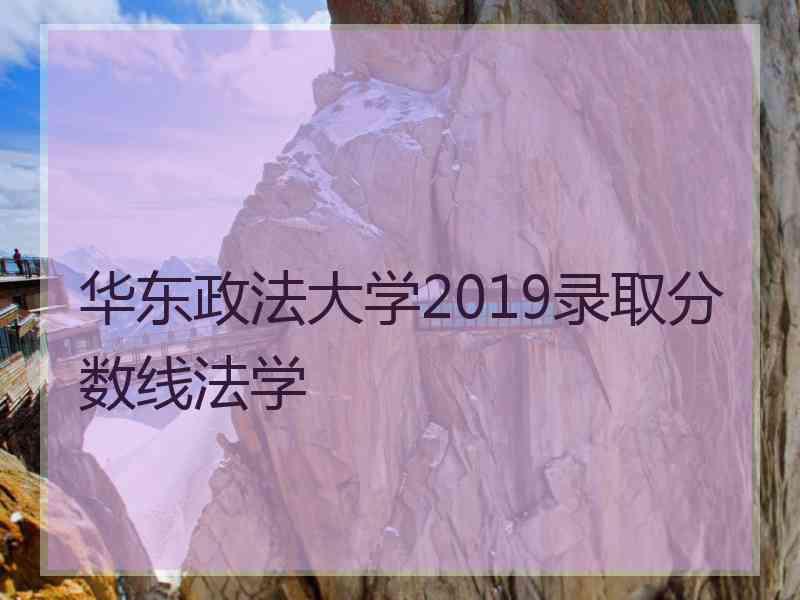 华东政法大学2019录取分数线法学