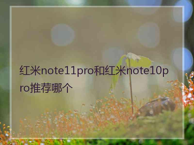 红米note11pro和红米note10pro推荐哪个