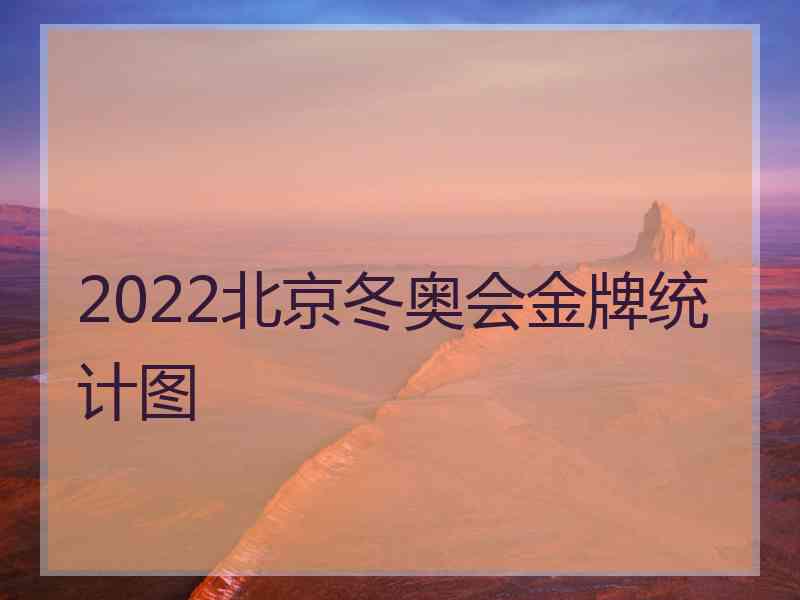 2022北京冬奥会金牌统计图