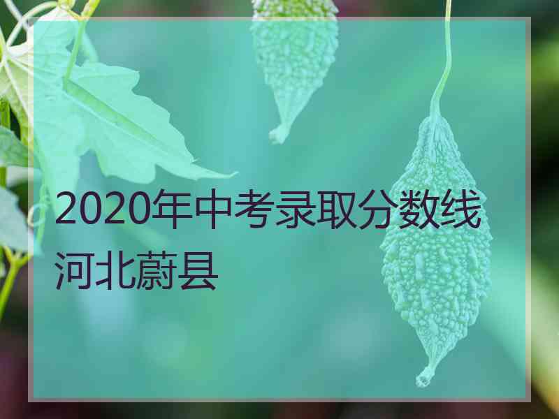 2020年中考录取分数线河北蔚县