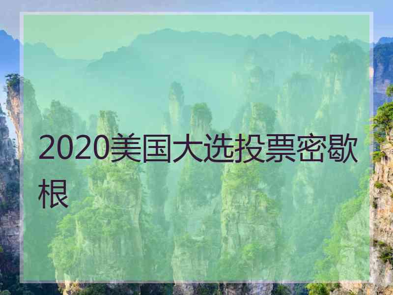 2020美国大选投票密歇根