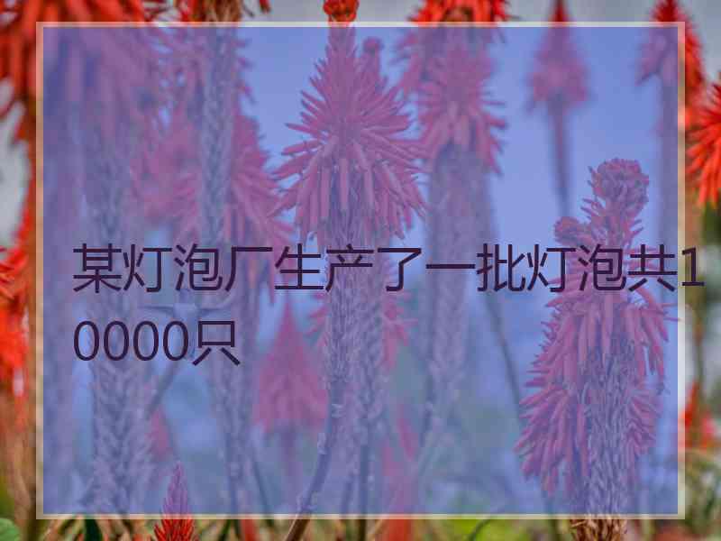 某灯泡厂生产了一批灯泡共10000只