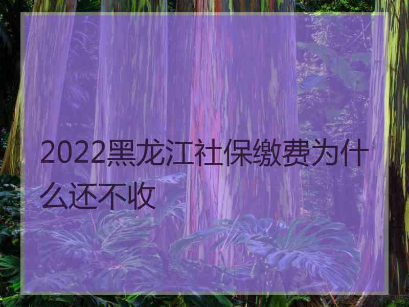 2022黑龙江社保缴费为什么还不收