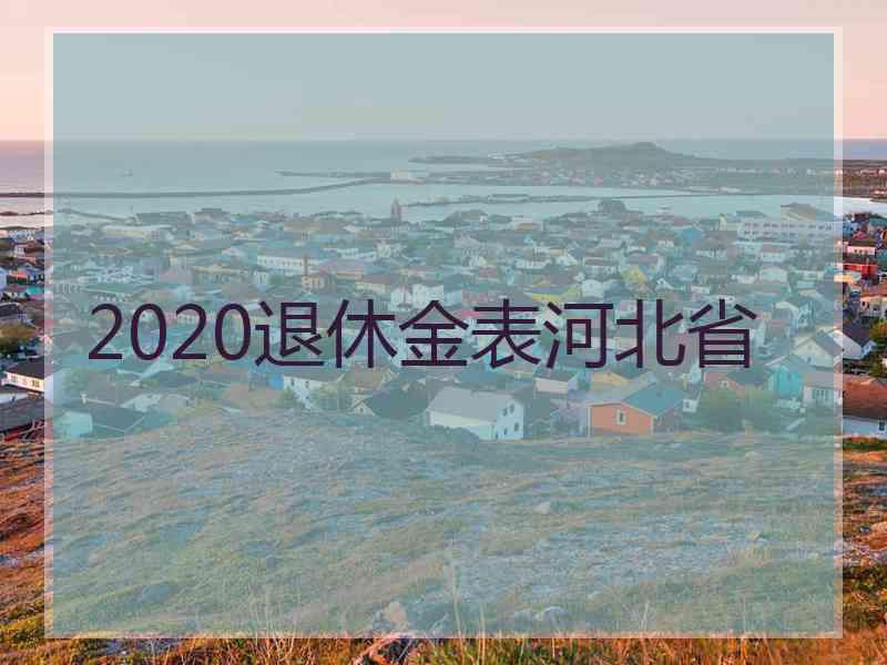 2020退休金表河北省