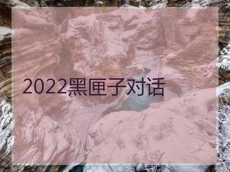 2022黑匣子对话