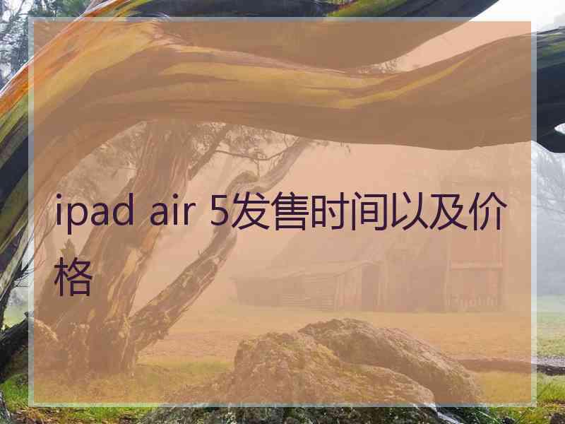 ipad air 5发售时间以及价格