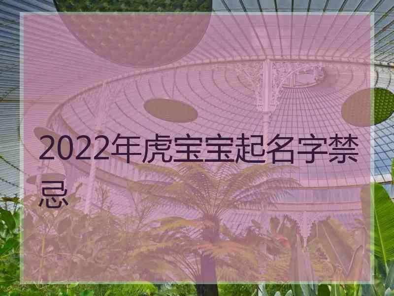 2022年虎宝宝起名字禁忌