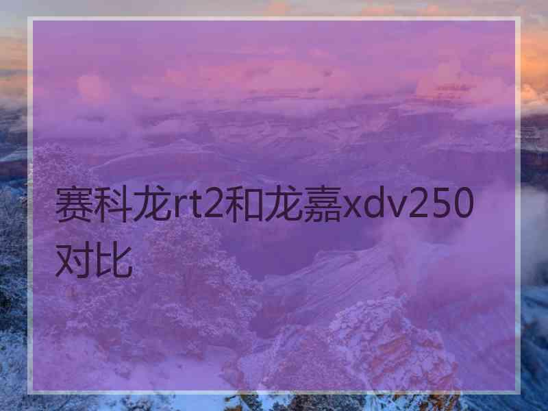 赛科龙rt2和龙嘉xdv250对比