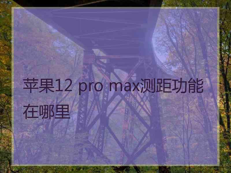 苹果12 pro max测距功能在哪里