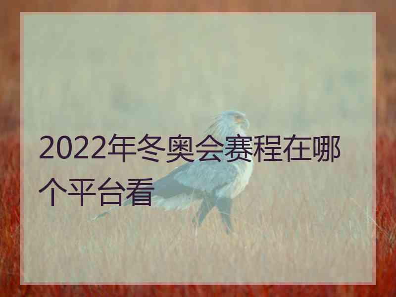 2022年冬奥会赛程在哪个平台看