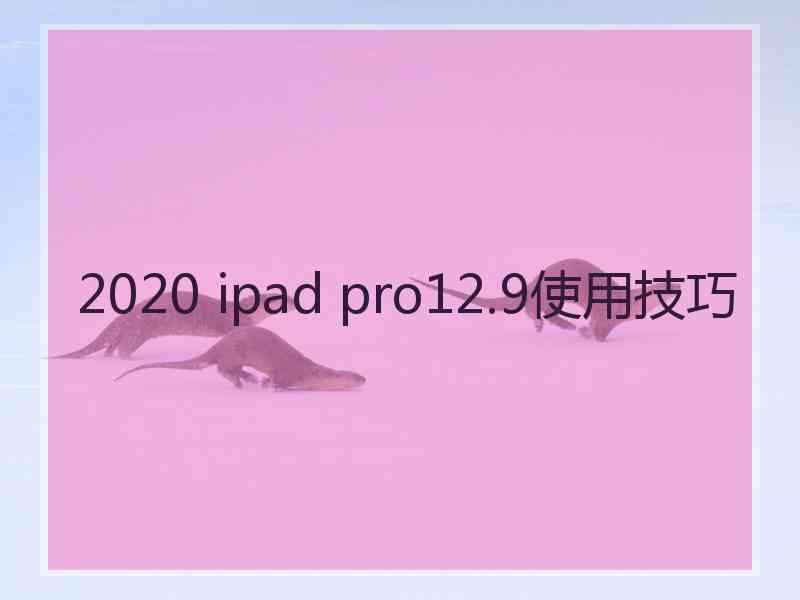 2020 ipad pro12.9使用技巧