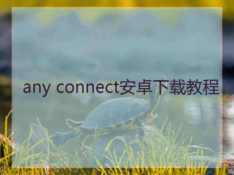 any connect安卓下载教程