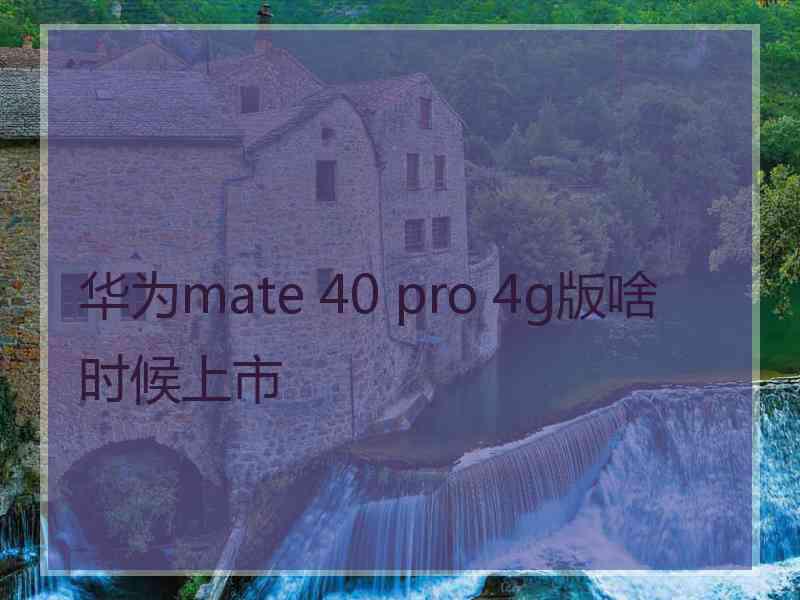 华为mate 40 pro 4g版啥时候上市