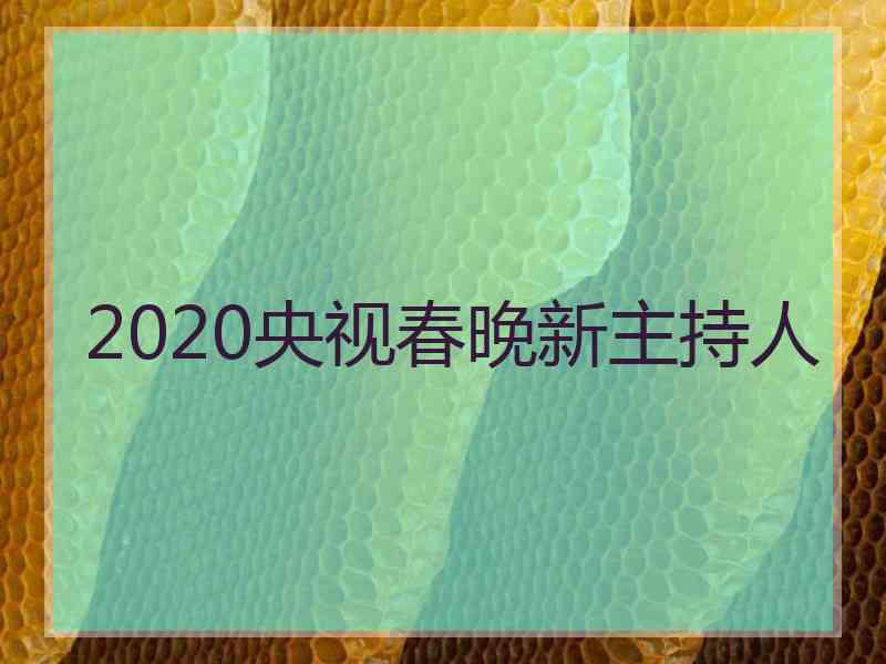 2020央视春晚新主持人