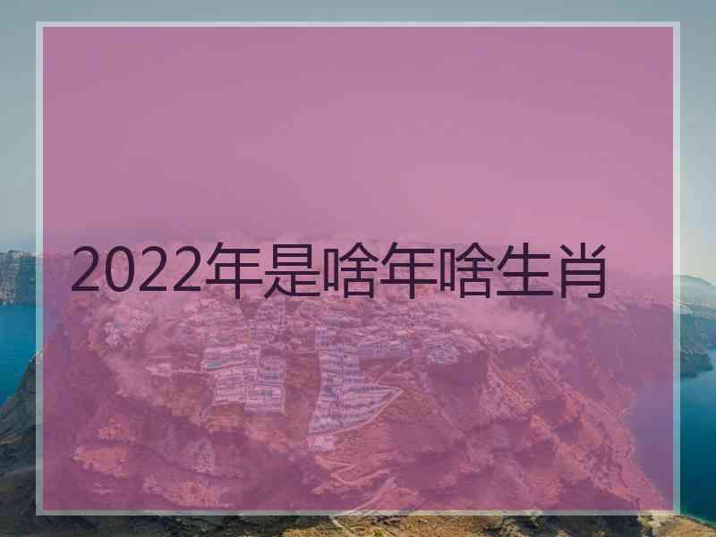 2022年是啥年啥生肖