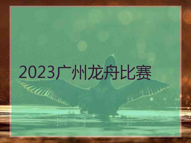 2023广州龙舟比赛