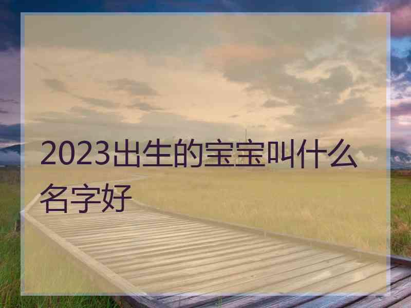 2023出生的宝宝叫什么名字好