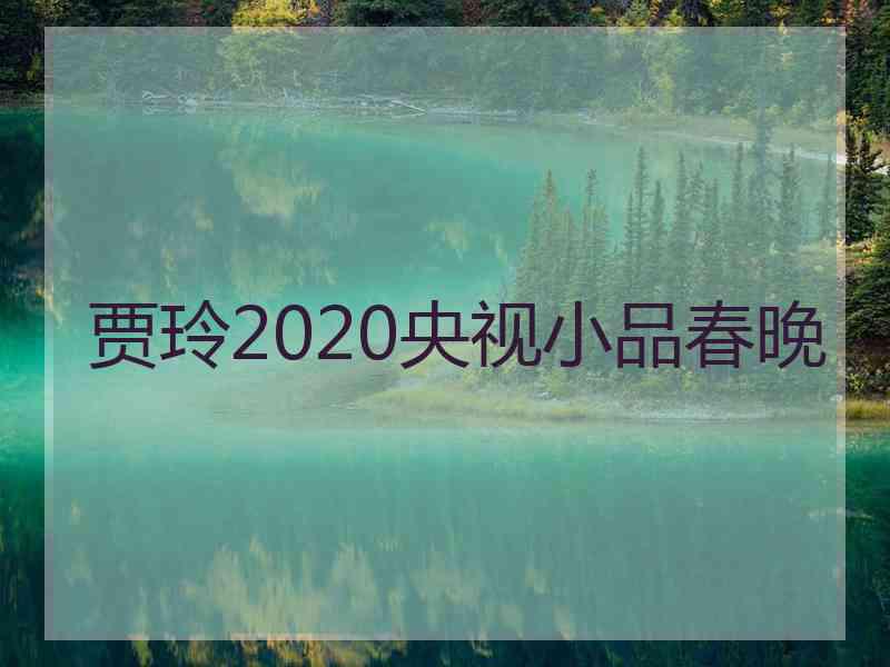 贾玲2020央视小品春晚