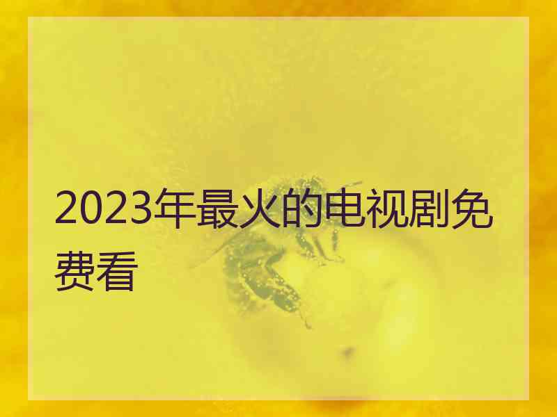 2023年最火的电视剧免费看