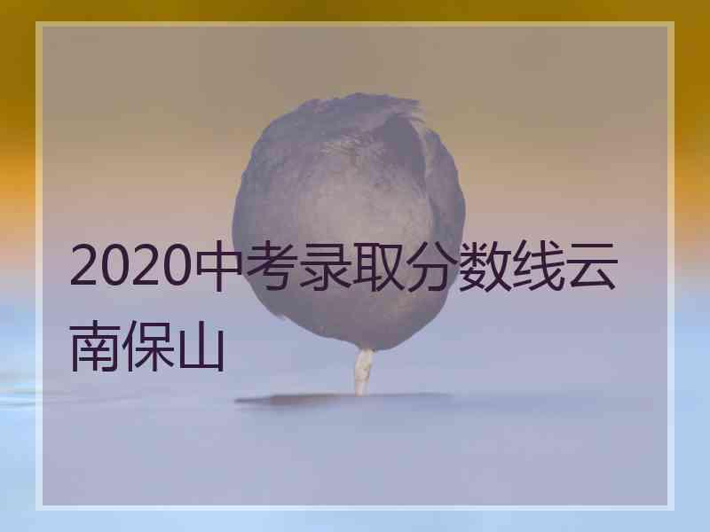 2020中考录取分数线云南保山