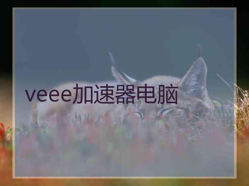 veee加速器电脑