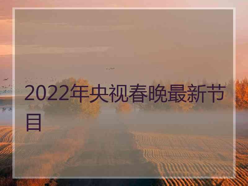 2022年央视春晚最新节目