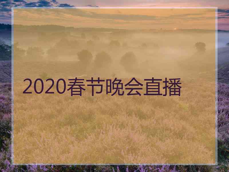 2020春节晚会直播