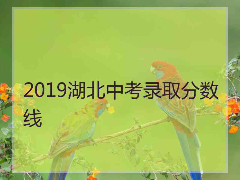 2019湖北中考录取分数线