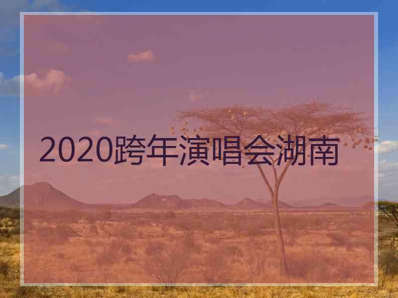 2020跨年演唱会湖南