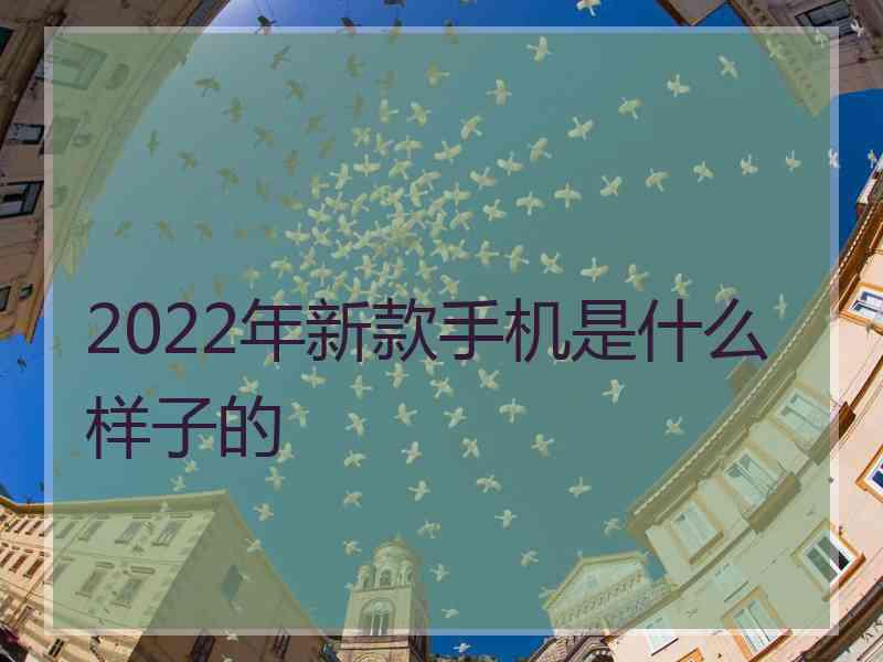 2022年新款手机是什么样子的