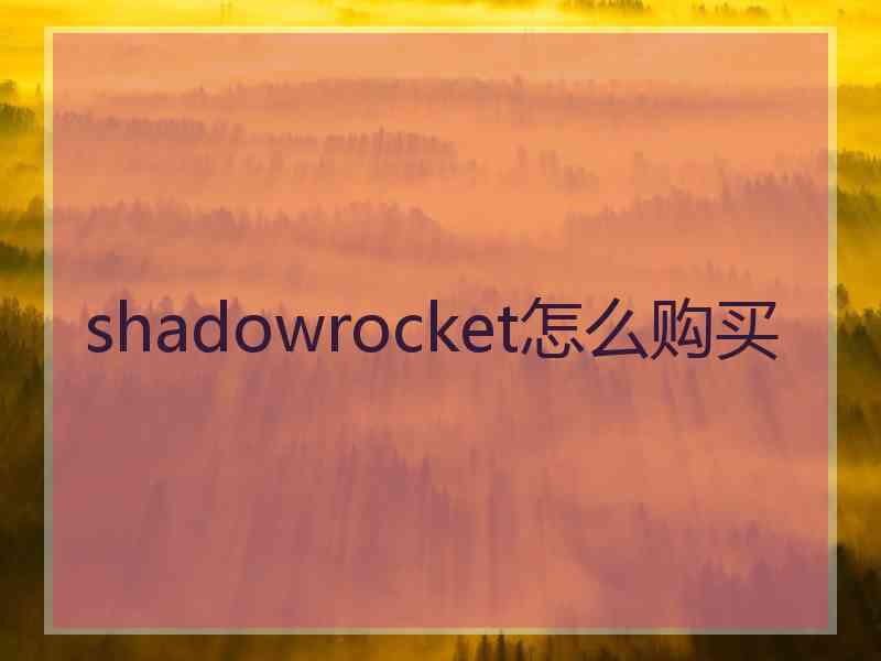 shadowrocket怎么购买