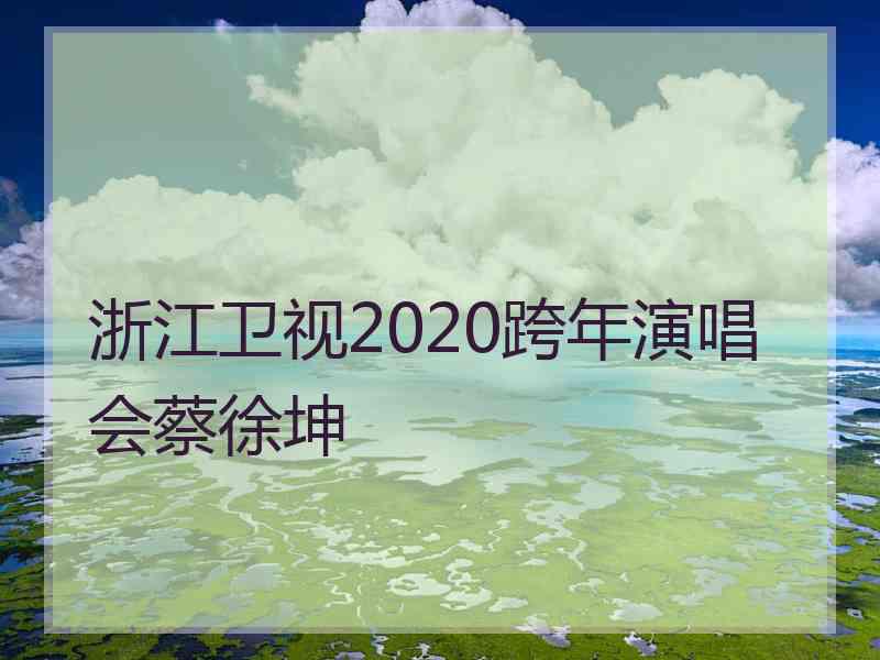 浙江卫视2020跨年演唱会蔡徐坤