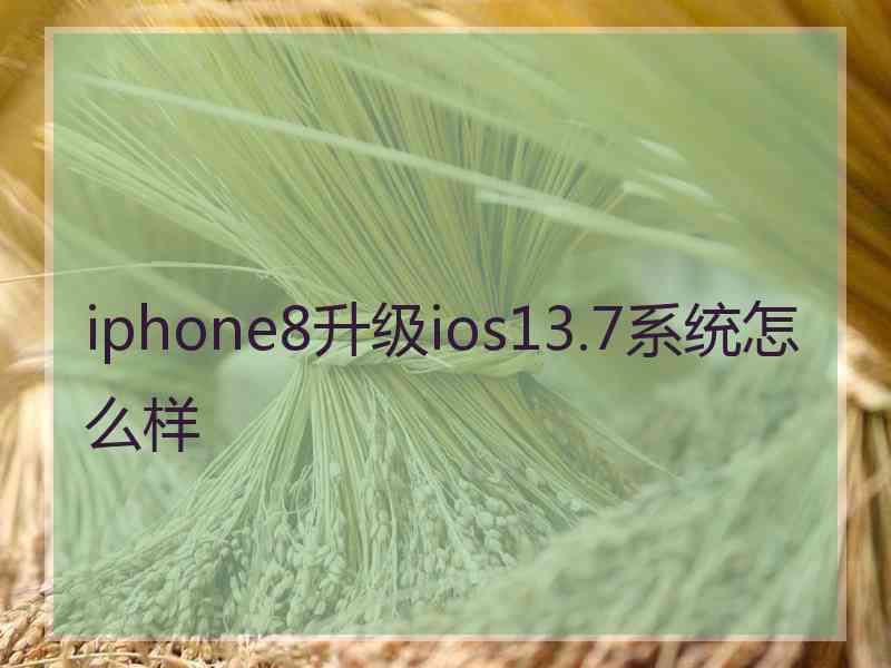 iphone8升级ios13.7系统怎么样