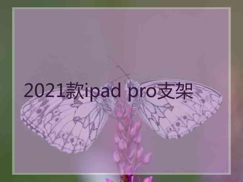 2021款ipad pro支架