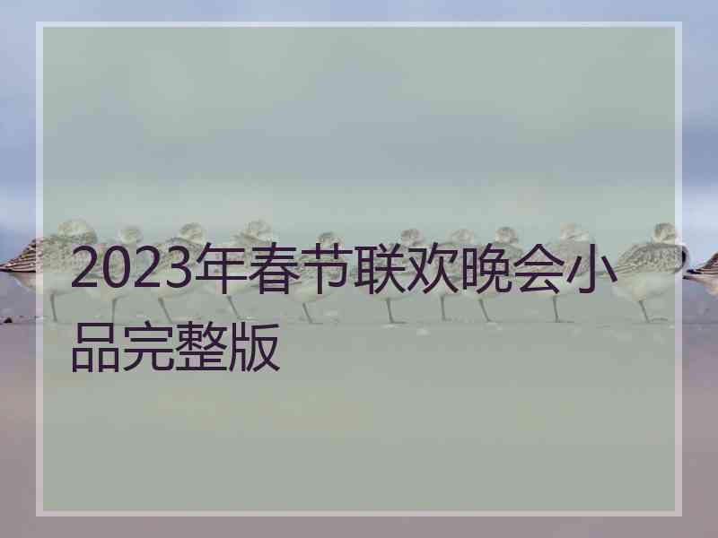 2023年春节联欢晚会小品完整版