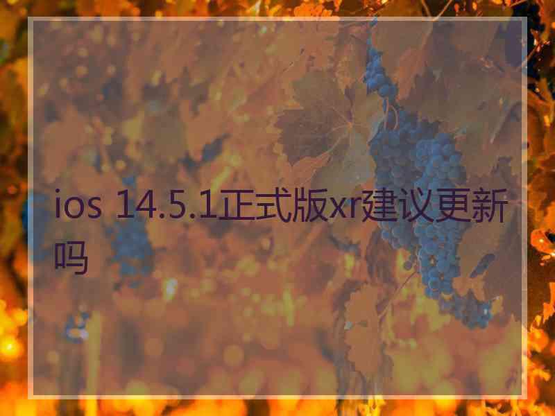 ios 14.5.1正式版xr建议更新吗