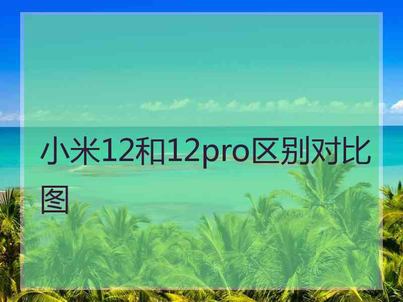 小米12和12pro区别对比图