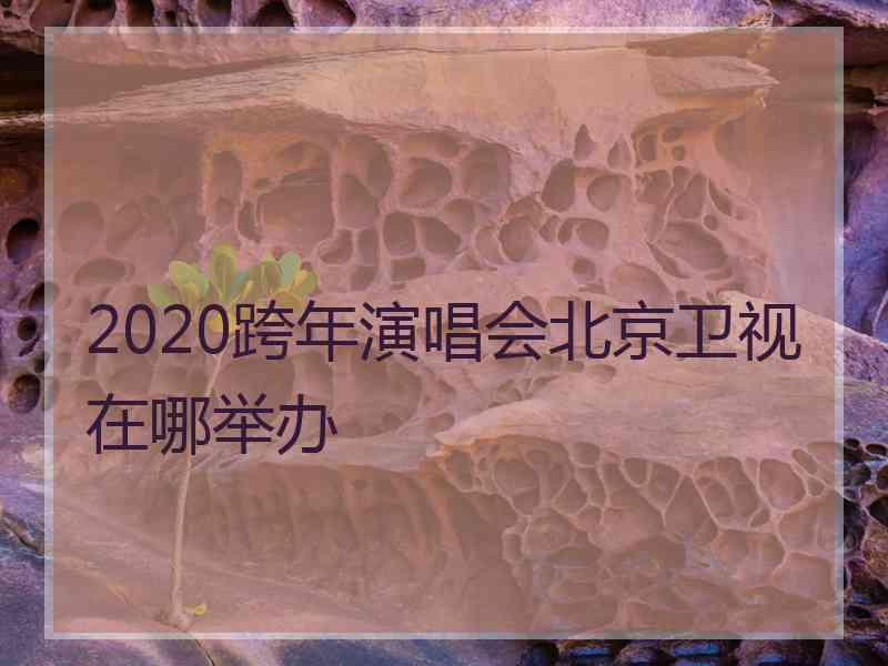 2020跨年演唱会北京卫视在哪举办