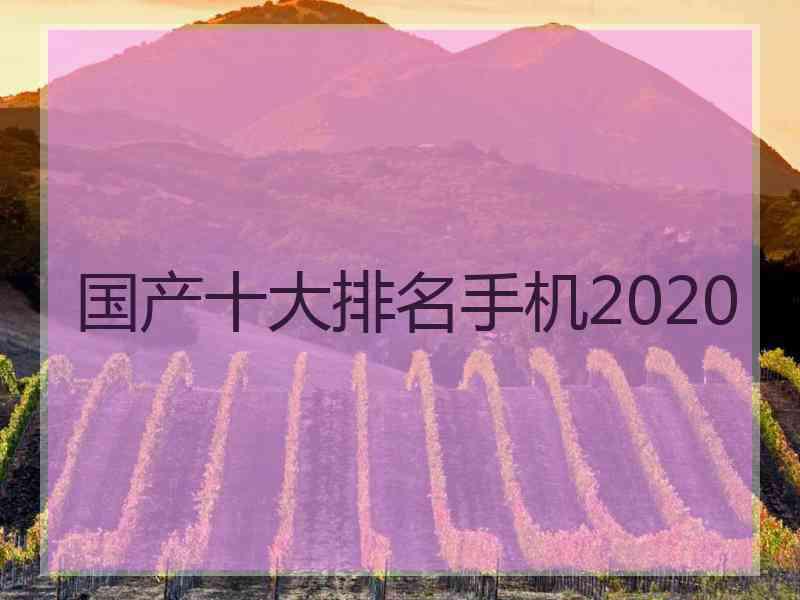 国产十大排名手机2020