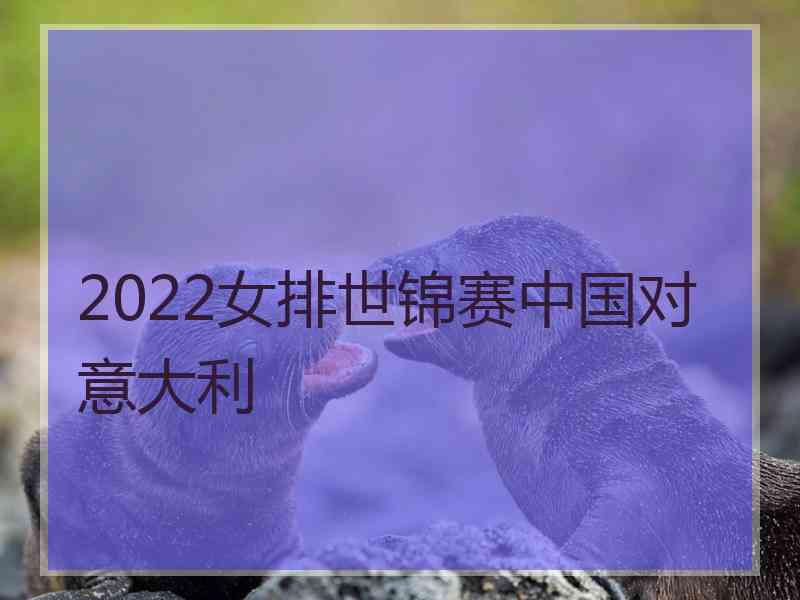 2022女排世锦赛中国对意大利