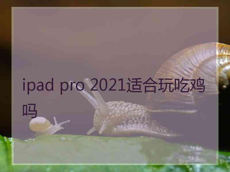 ipad pro 2021适合玩吃鸡吗