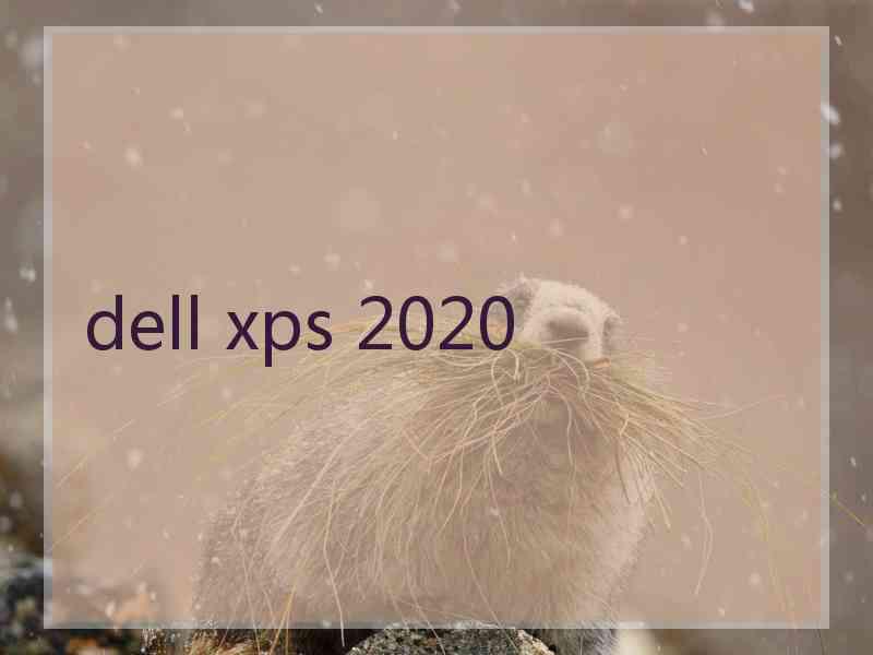 dell xps 2020