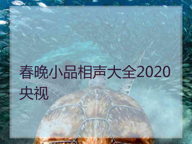 春晚小品相声大全2020央视