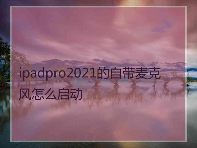 ipadpro2021的自带麦克风怎么启动