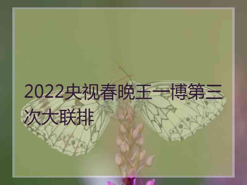 2022央视春晚王一博第三次大联排