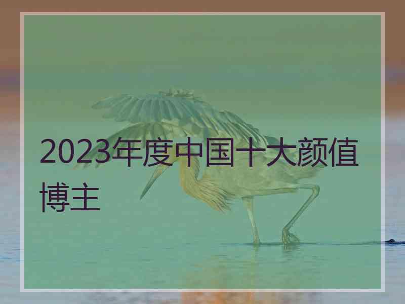 2023年度中国十大颜值博主