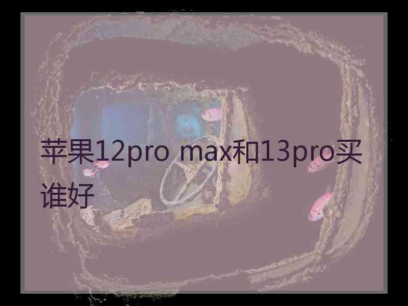 苹果12pro max和13pro买谁好